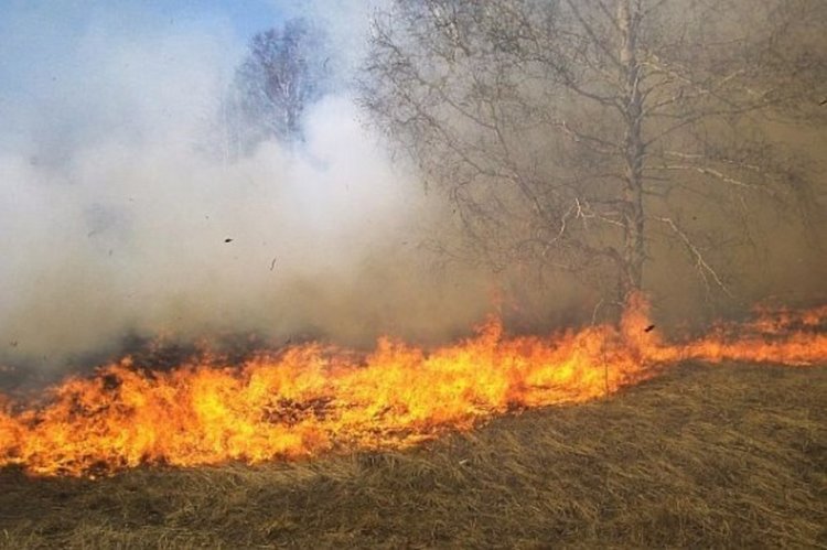 Пламъци изпепелиха дървена ограда, храсти и сухи треви