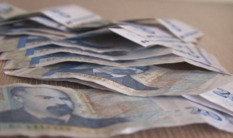 До 80 бона вади ловец на трюфели за година