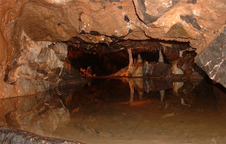 Хората, които се самоизяждаха