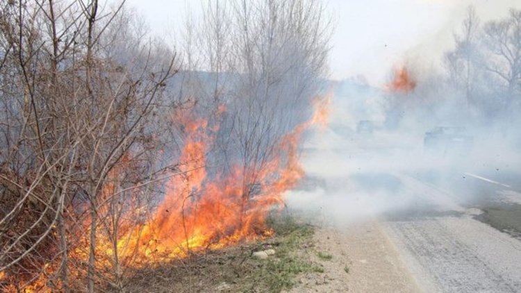 Горяха сухи треви и храсти в Кърджали