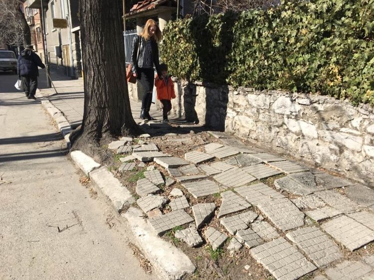 Корени на дървета оставят Асеновград без тротоари