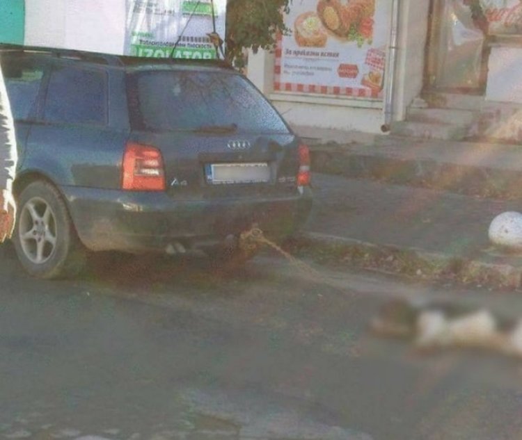 Кола влачи куче на Коледа