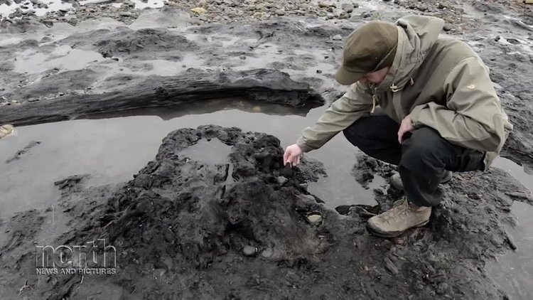Праисторическа гора се показа след Звяра от изток