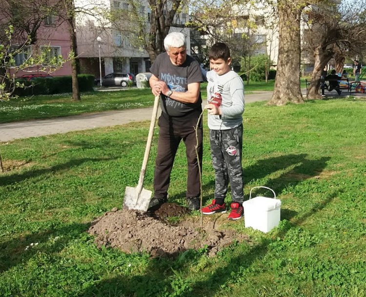 Четвъртокласници засадиха дръвчета в парка