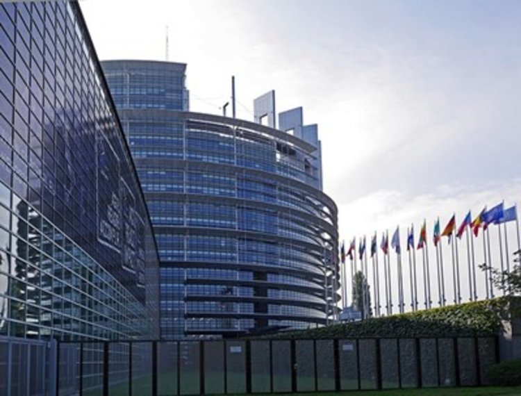 11 вакантни места за бодигардове в Европейския парламент