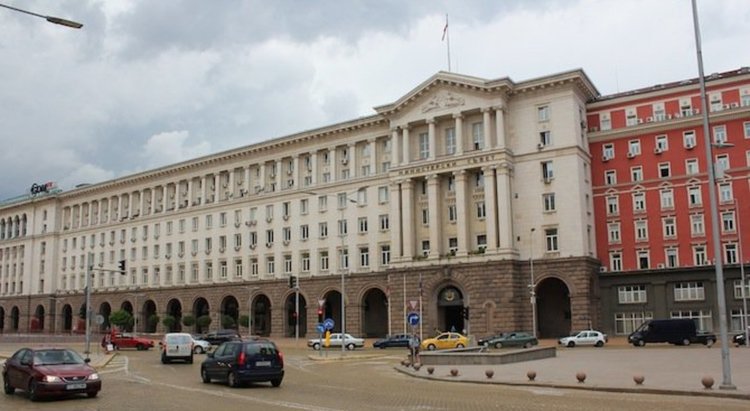 Кабинетът приема отчет за овладяването на безстопанствените кучета в страната