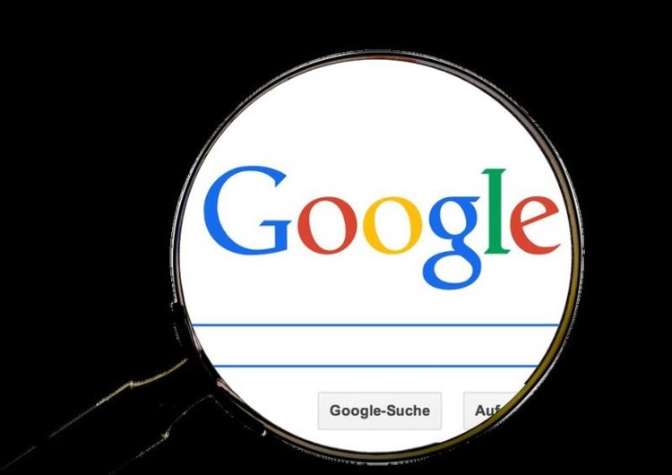 Най-абсурдните търсения в Google за 2018: от 'дезодорант против котки' до 'агенция за дървеници'