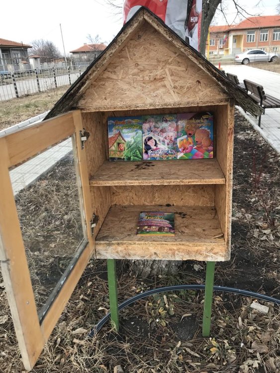 Младежи поставиха нови книги в къщичка и посадиха коледно дърво