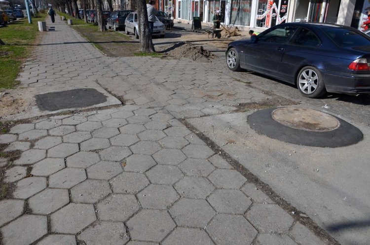 В Пловдив започва обработка срещу гризачи. Общината: Не паркирайте върху шахтите!