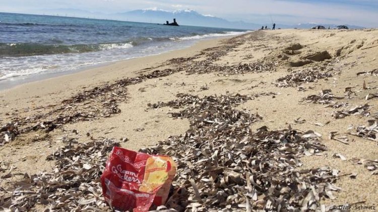 Как в Гърция се опитват да опазят морето 