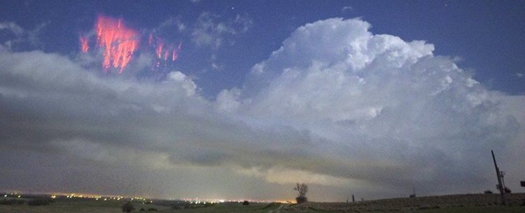 Фотограф засне гигантска червена медуза в небето