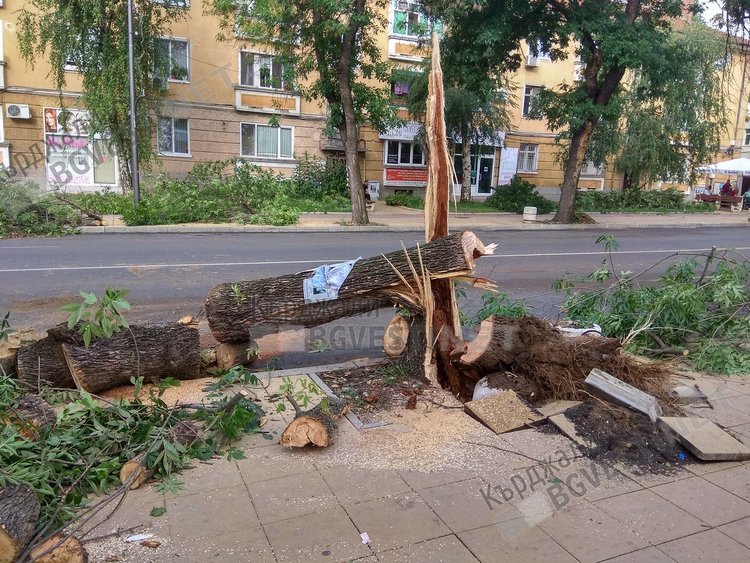 Пожарникари и спасители в Кърджали на крак, заради паднали дървета и клони 