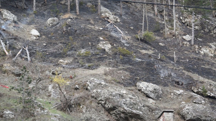 Незагасена цигара подпали пожар в Неделинско, унищожени са три декара гора