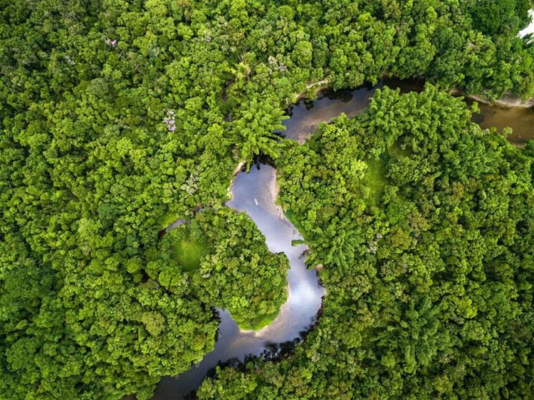 Индианци от изолирано племе в Амазония нападнаха село с лъкове и стрели