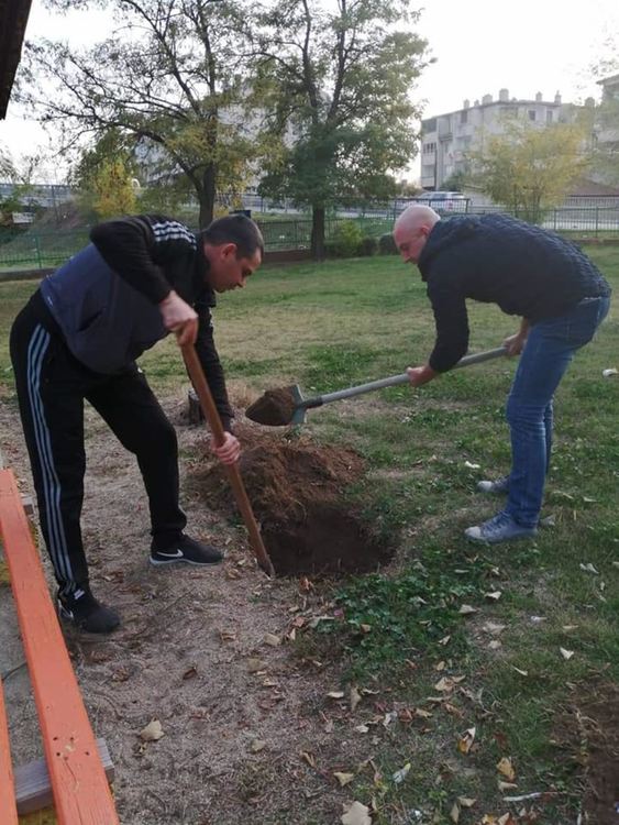 Засадиха дръвчета в двора на детска градина