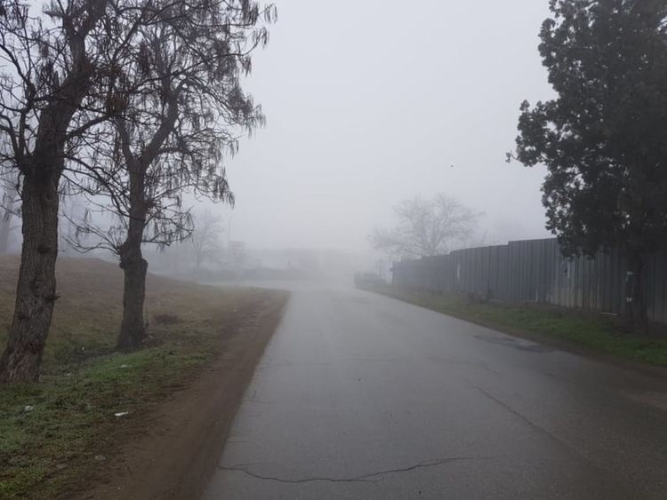 Видимостта в Първомай е до 50 м заради мъгла