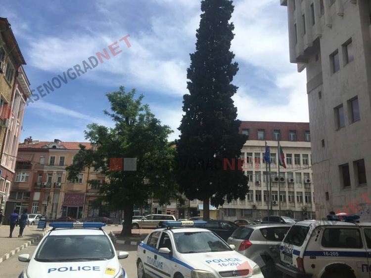 За ден: Две пешеходки блъснати от автомобили в Асеновград, шофьор задържан дрогиран зад волана