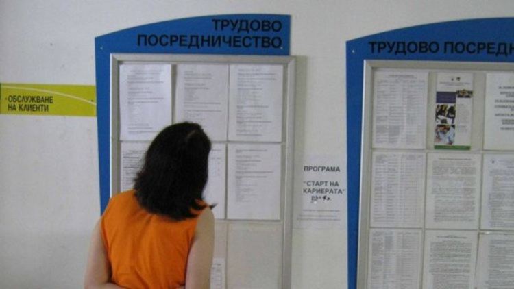  Търсят се сезонни работници
