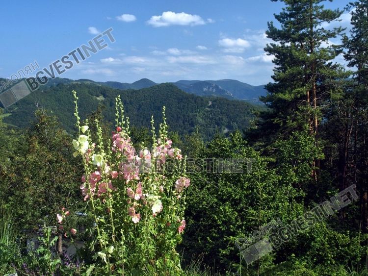 Хладен петък, но с повече слънце
