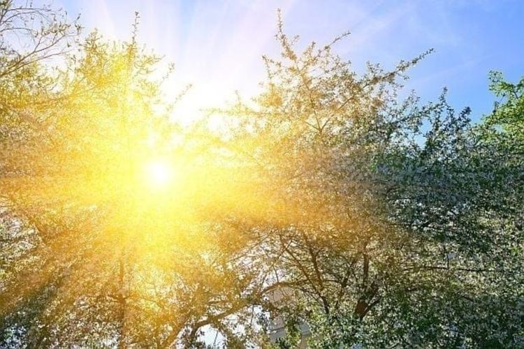 Днес повече слънце, очаква се заоблачаване следобед, но вероятността за валежи е малка