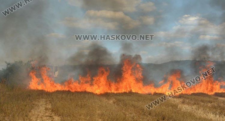 Пожар край Александрово