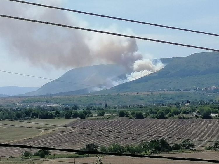 Около 800 декара гора е унищожена при пожара край Шумен