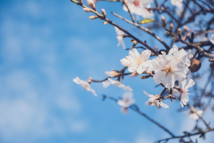 Слъчева и топла неделя