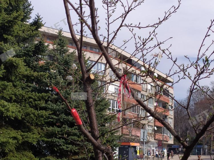 Предимно слънчево, но студено днес в Кърджали