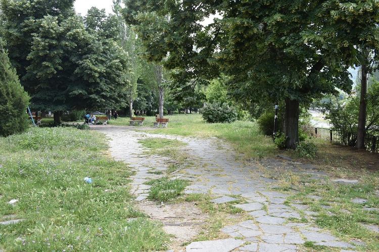 Започна пръскането срещу кърлежи на територията на Асеновград 