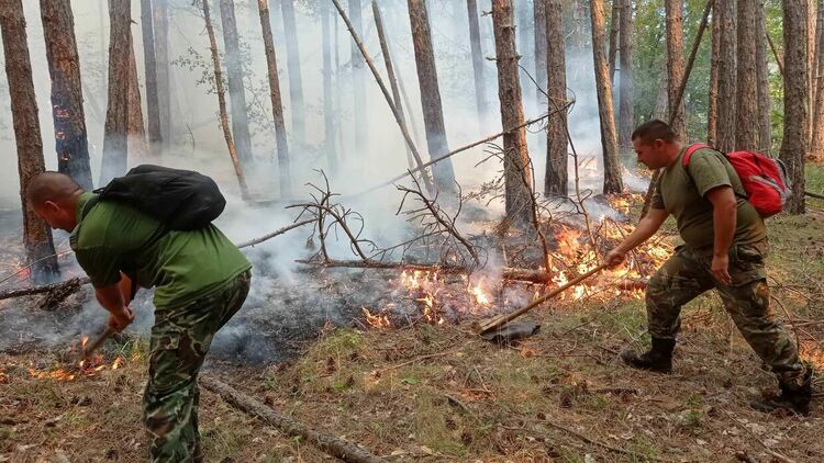 Пожарът в Родопите слиза към Югово