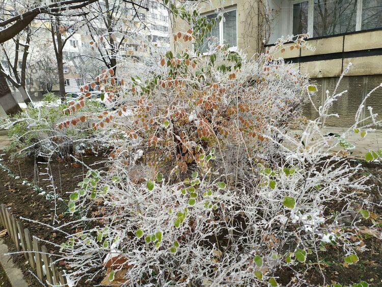 Предимно облачно днес в Кърджали,мразовито