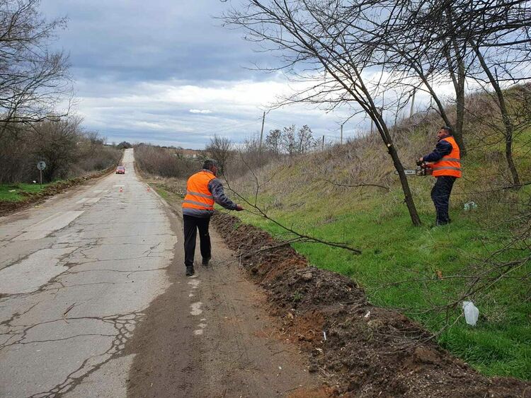 Почистват дърветата по пътя Първомай-Виница