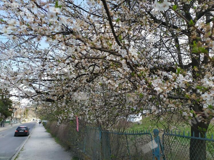 Слънчево и ветровито днес в Кърджали