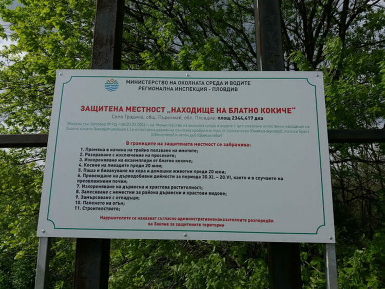 През април експерти на РИОСВ са проверявали находищата на блатно кокиче 