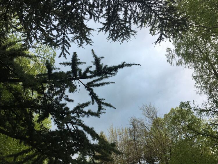 Облачно с валежи и гръмотевици на места