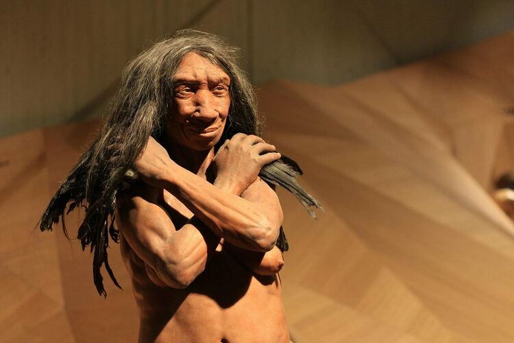 Homo sapiens е твърде арогантно. Наречете ни Homo faber, производителят на инструменти