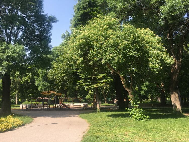 Слънчево, валежи следобед на места