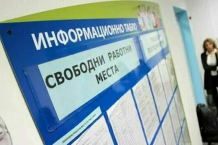 8 са обявените позиции за висшисти в Бюрото по труда