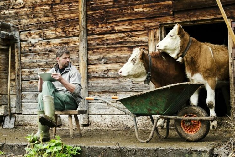 Ще си произведем ли храна, или ще чакаме пролетната коприва
