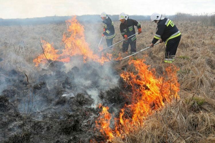 Мълния подпали сухи треви край Неделино, горя газова бутилка в Златоград