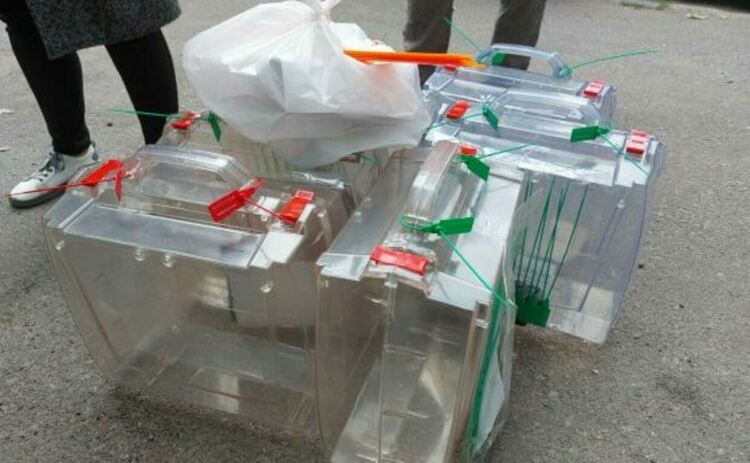 Референдумът в окупираните територии в Украйна започна на фона на взривове
