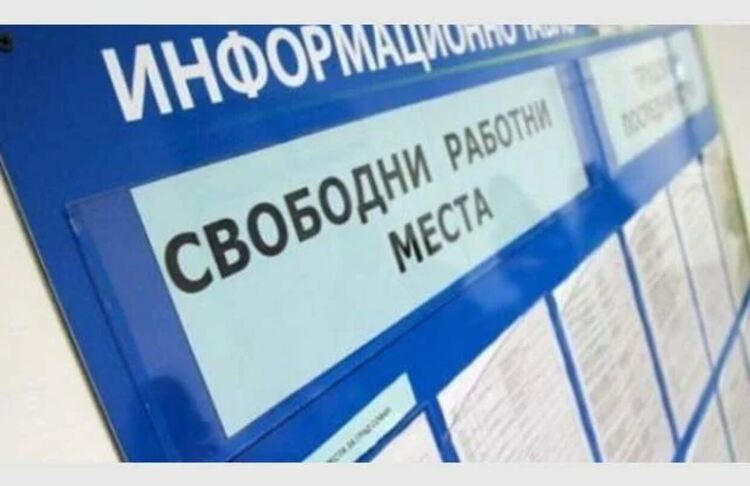 Едва 45 са обявените свободни раотни места в Първомай