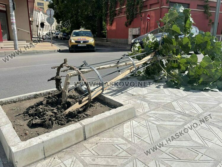 Оранжев код за силен вятър в сряда