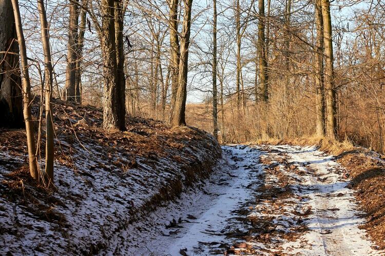 В Европа е отчетен третият най-топъл януари от 1991 г. насам