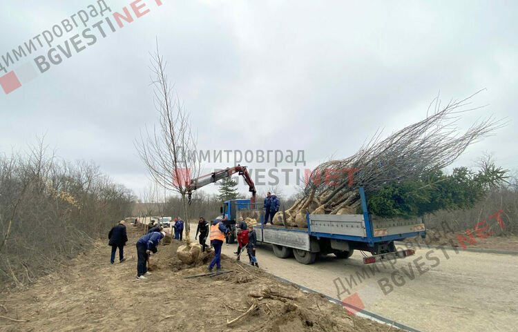 Дървета, които могат да надживеят 15 поколения, засаждат в парк "Марица"