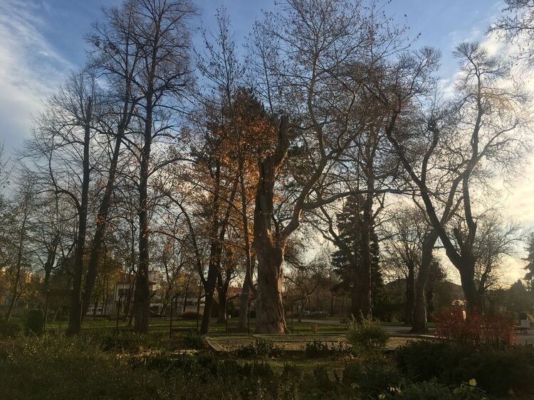 Сутрешни мъгли, предимно слънчево през деня