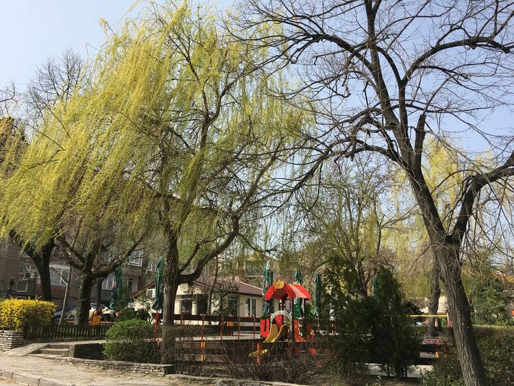 Променлива облачност и локални валежи, жълт код за силен вятър