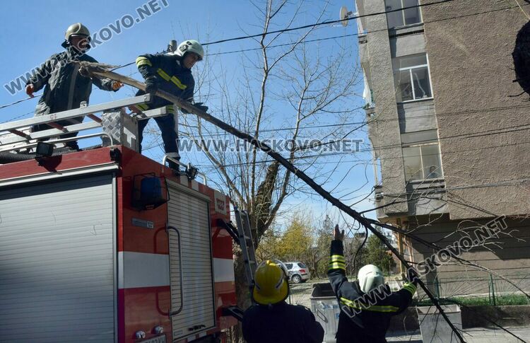Предупреждение за движение с повишено внимание в райони с дървета, заради силния вятър