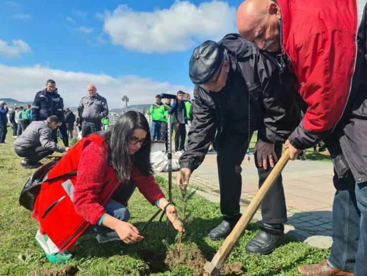 По инициатива на общината 110 фиданки от сребрист смърч бяха засадени в Парк „Арпезок Север”