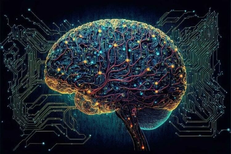 Странният ни мозък - някои извънредно интересни факти